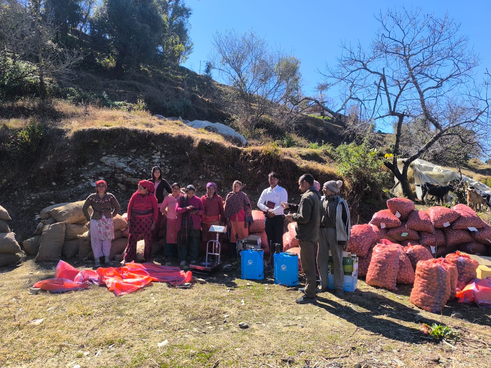 Vegetable Zone Dailekh