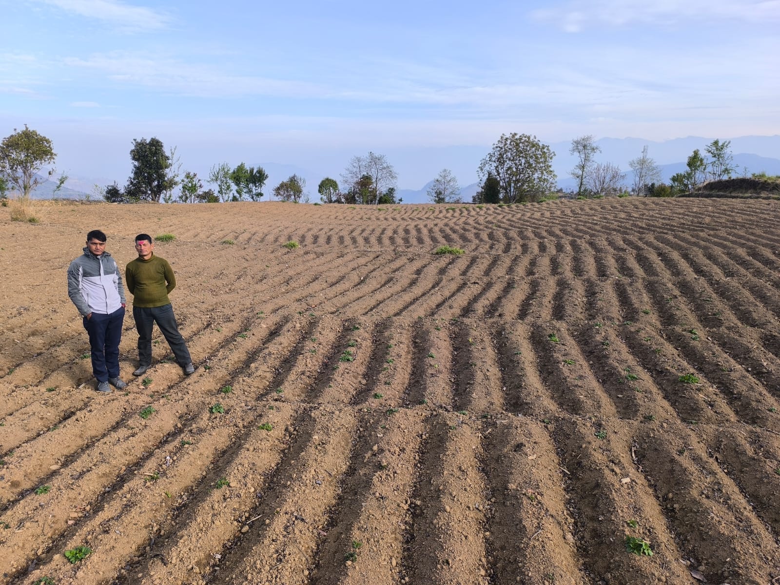 Vegetable Zone Dailekh