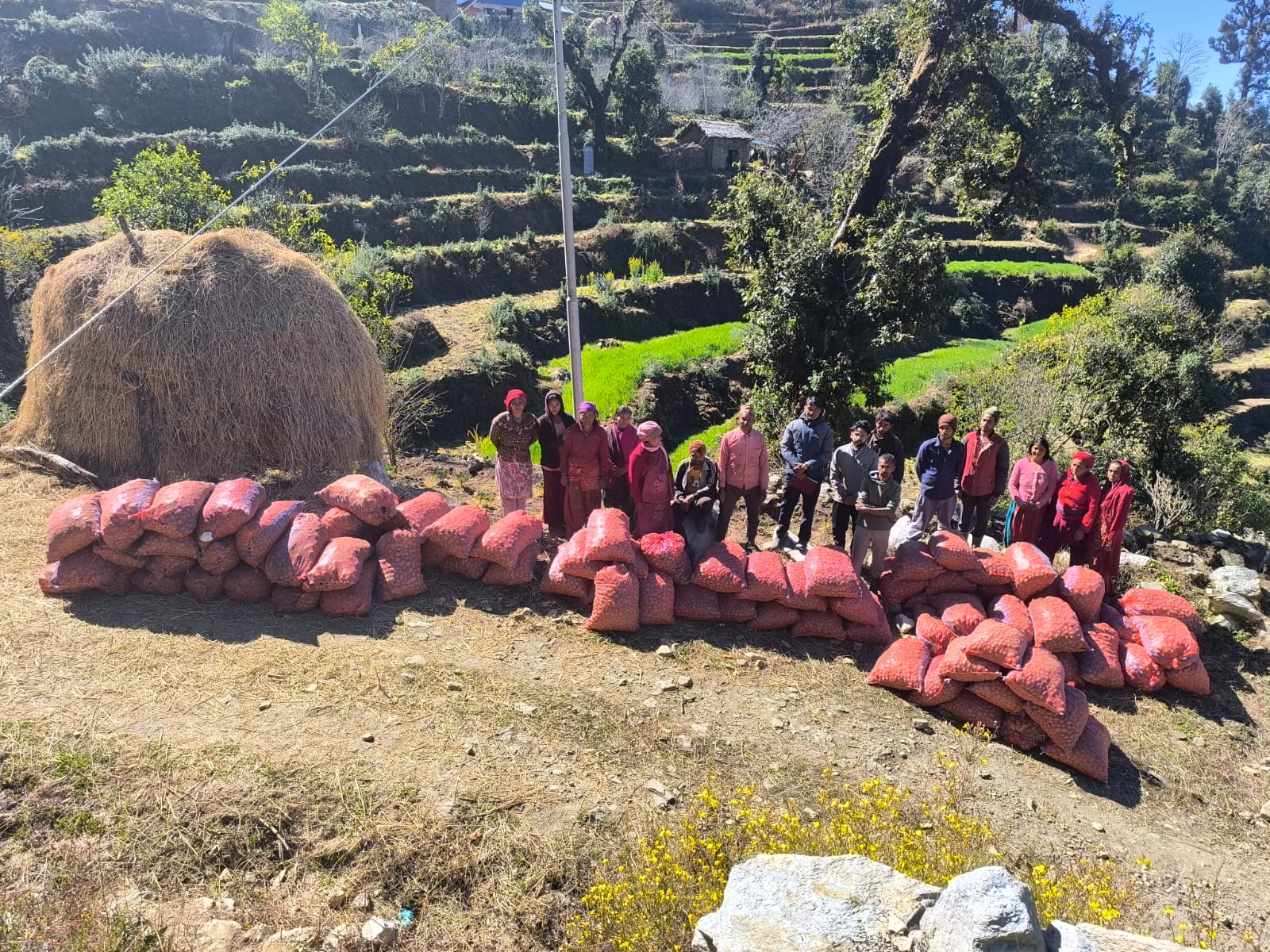 Vegetable Zone Dailekh