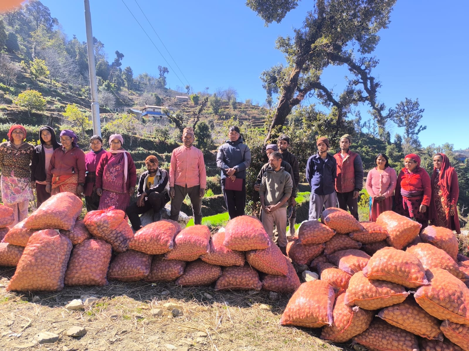 Vegetable Zone Dailekh