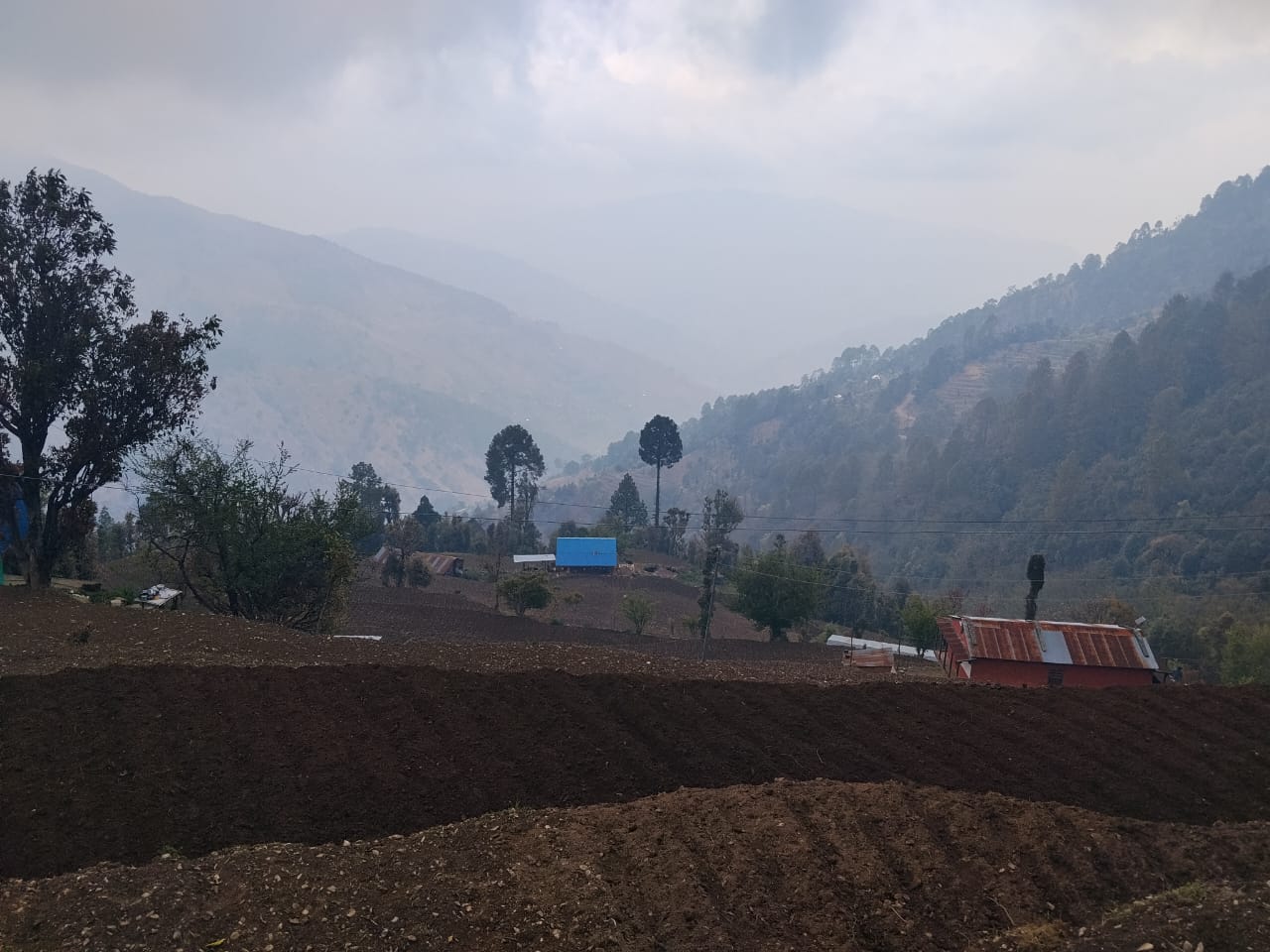 Vegetable Zone Dailekh