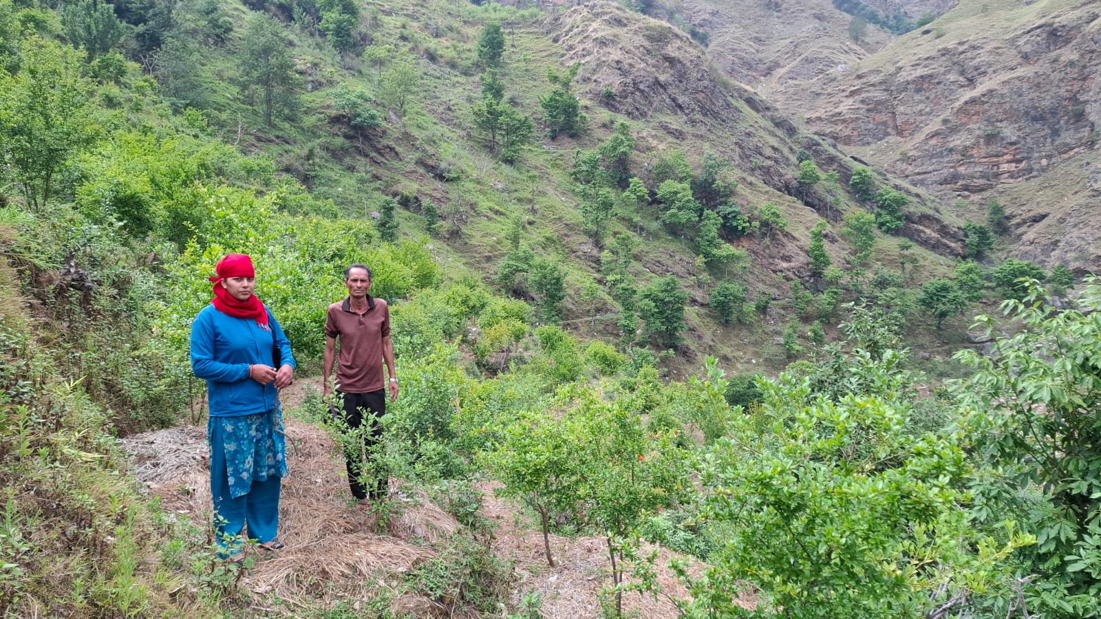 Ginger Turmeric Zone Surkhet