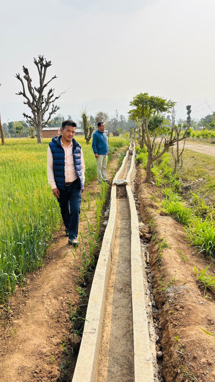 Maize Zone Surkhet