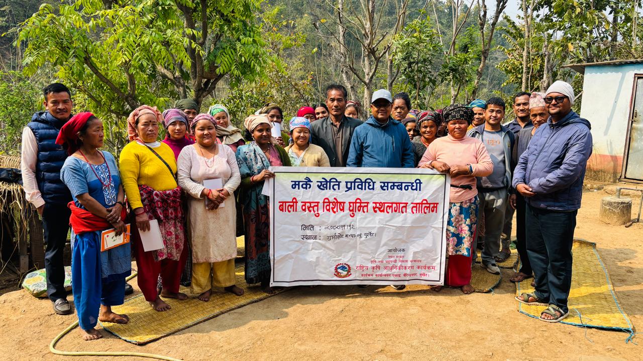 Maize Zone Surkhet