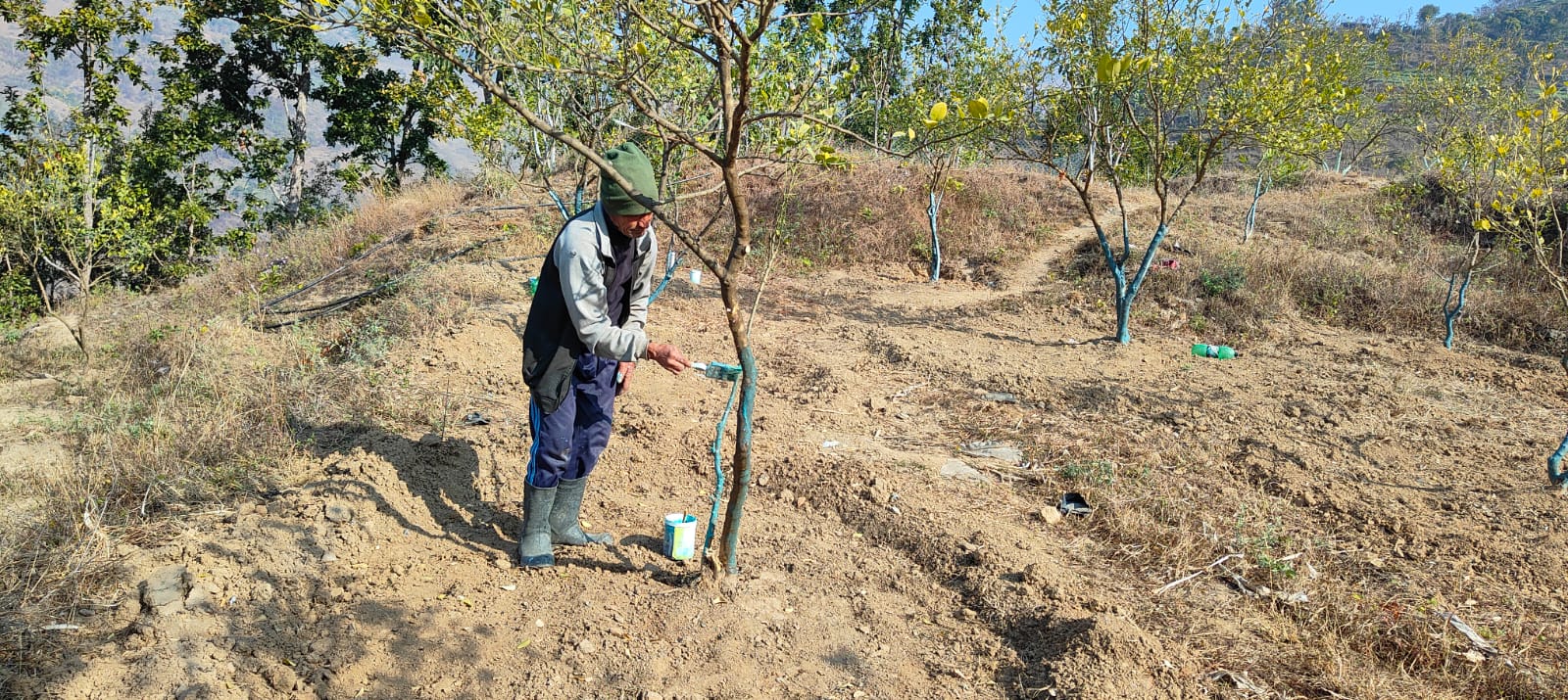Citrus Zone Dailekh
