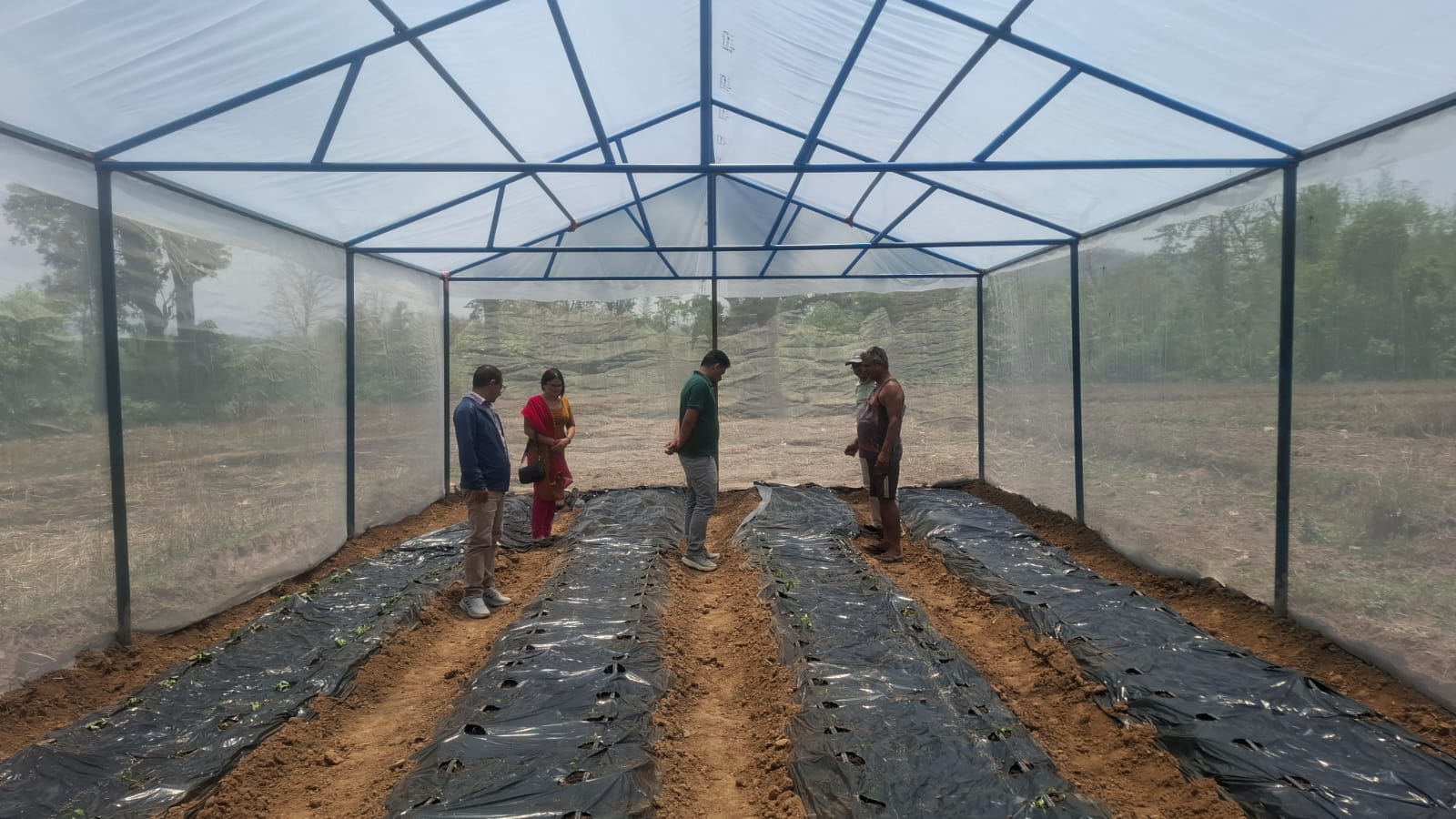 Vegetable Zone Surkhet