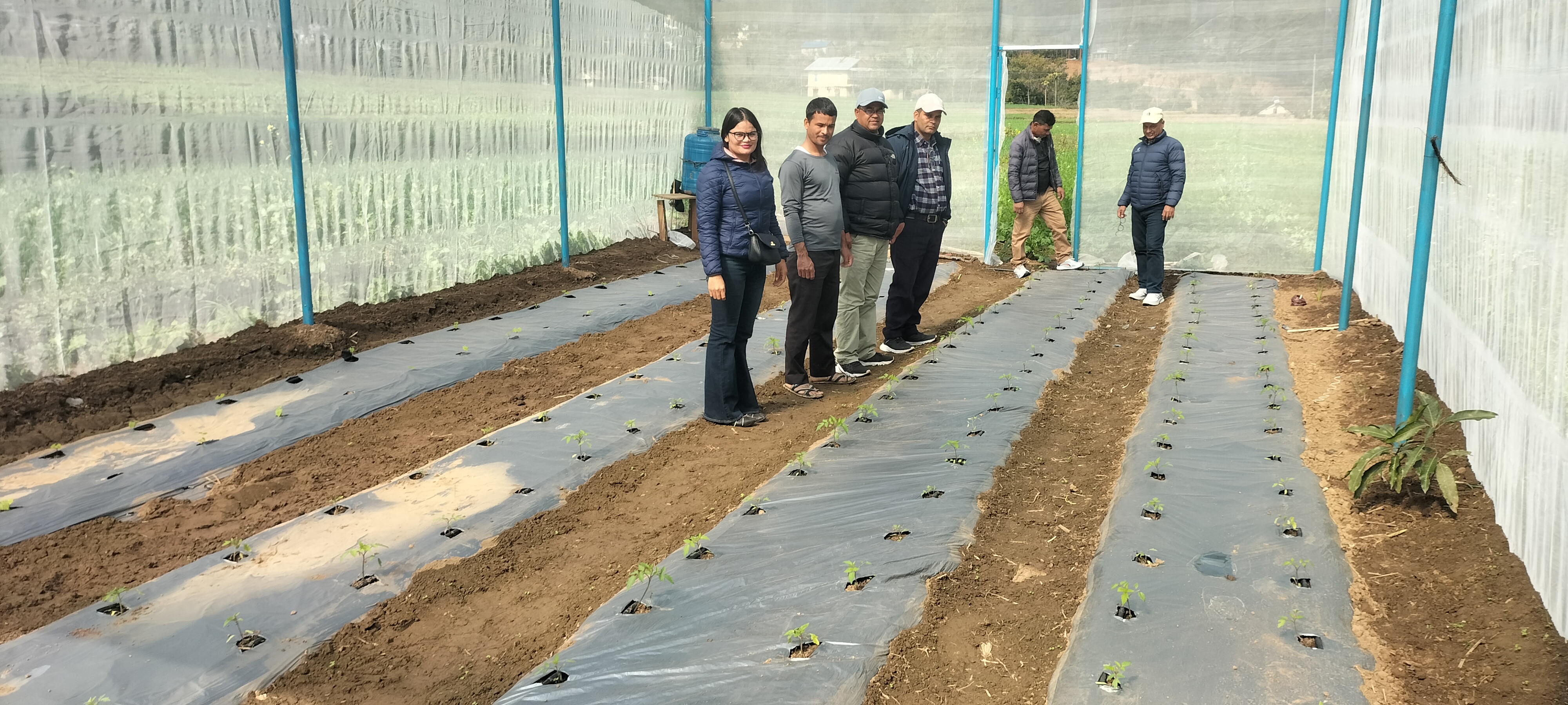 Vegetable Zone Surkhet