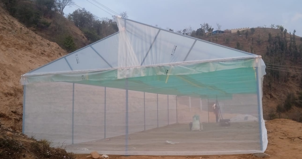 Vegetable Zone Dailekh