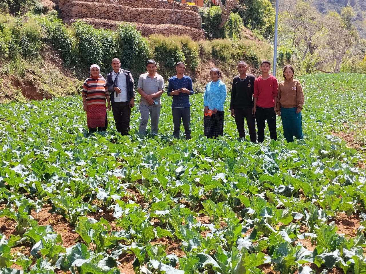 Vegetable Zone Dailekh