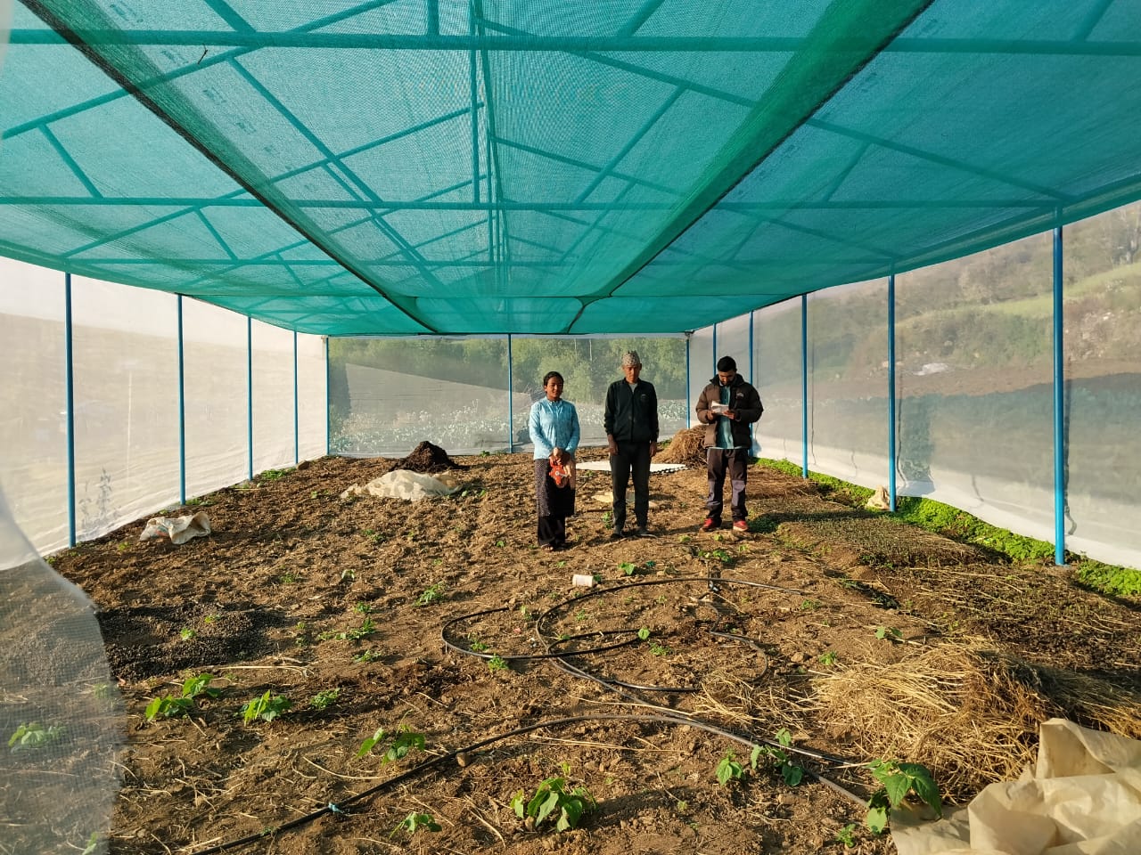 Vegetable Zone Dailekh