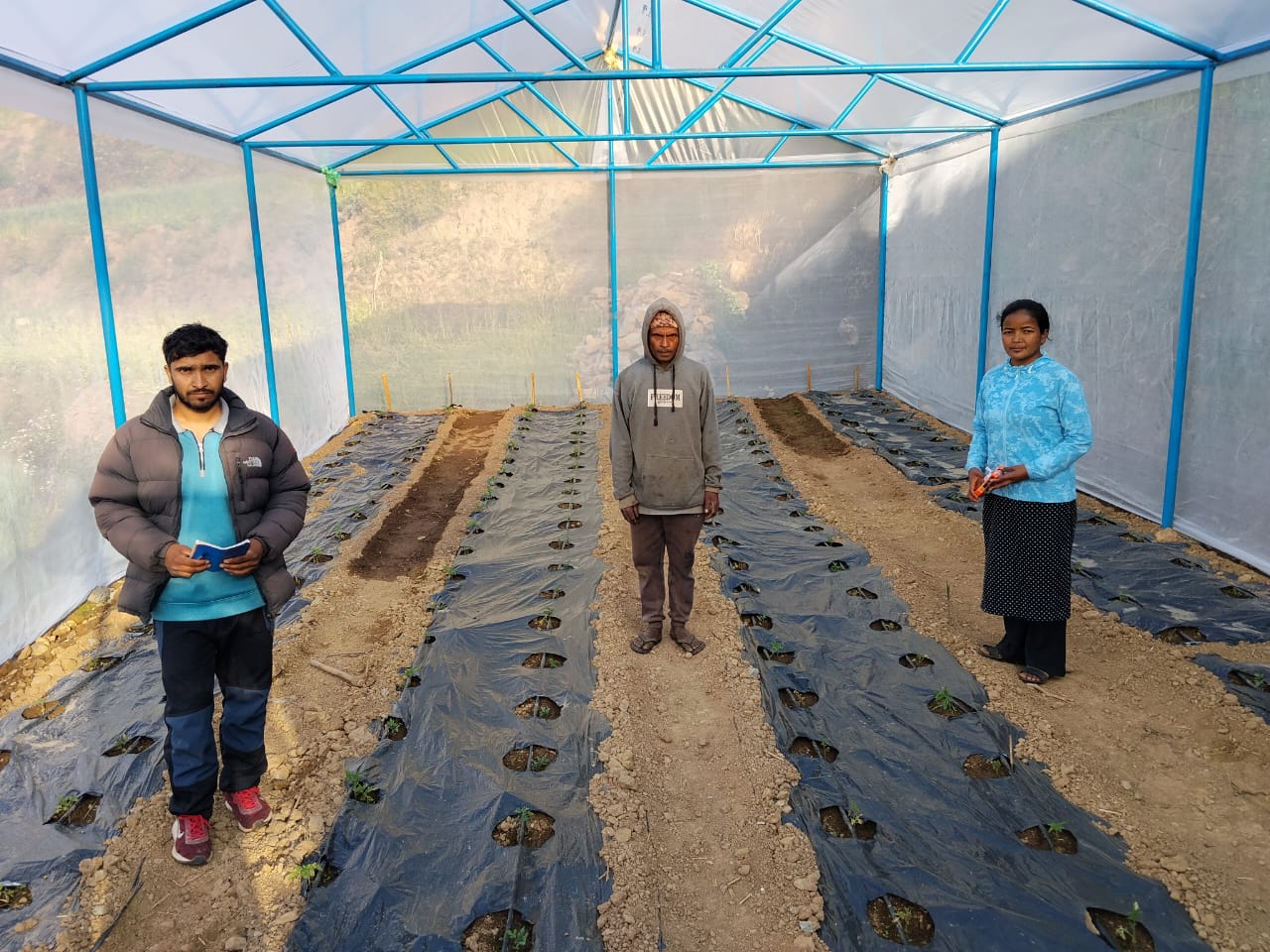 Vegetable Zone Dailekh