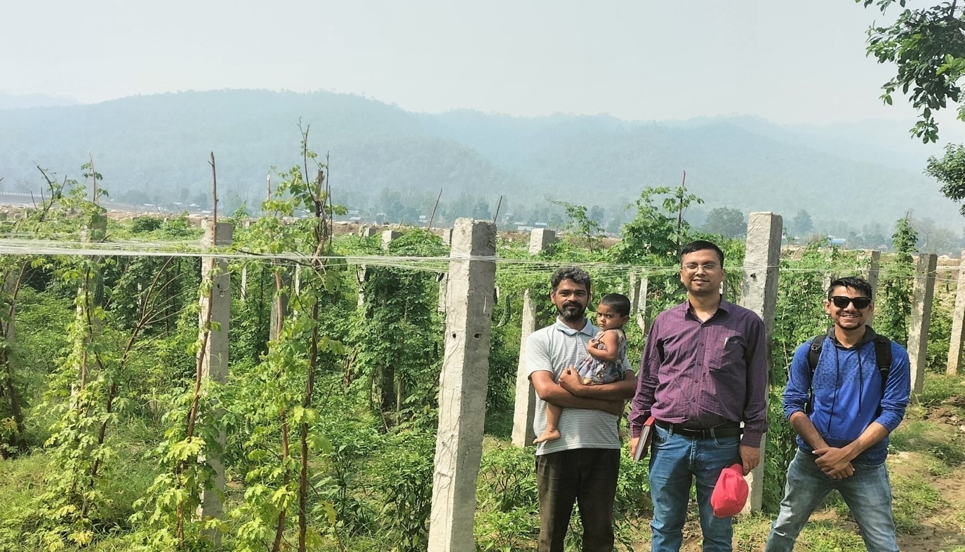 तरकारी प्रदर्शनी